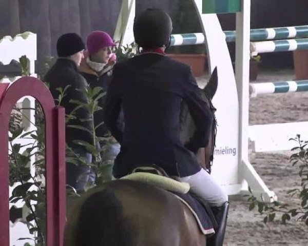 Nationales Hallenspringturnier Sauldorf- Boll 2013