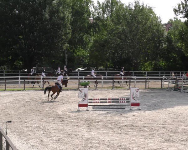 Reitturnier Würzburg/Ufr. 2024