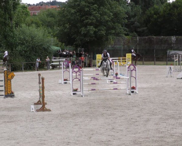 Reitturnier Würzburg/Ufr. 2024