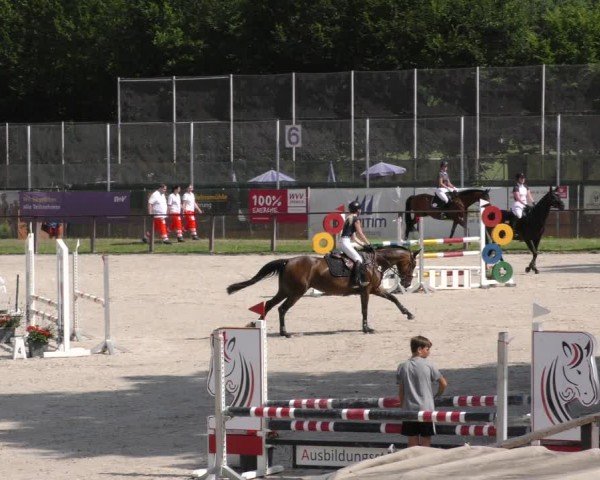 Reitturnier Würzburg/Ufr. 2024