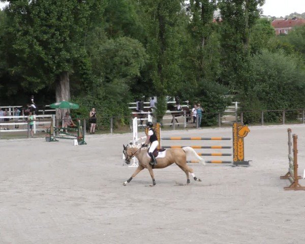 Reitturnier Würzburg/Ufr. 2024