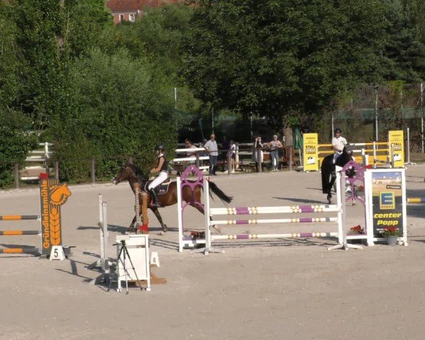 Reitturnier Würzburg/Ufr. 2024