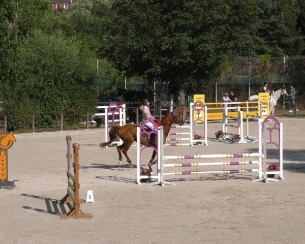 Reitturnier Würzburg/Ufr. 2024