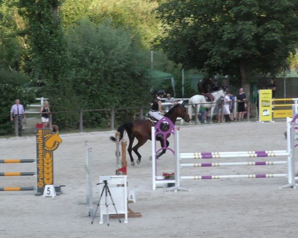 Reitturnier Würzburg/Ufr. 2024