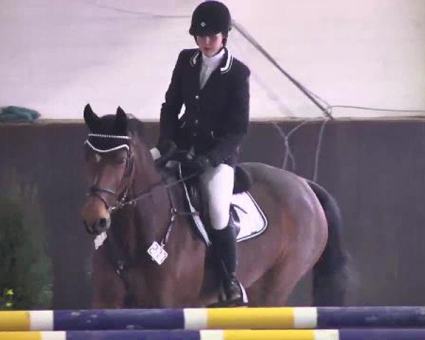 Nationales Hallenspringturnier Sauldorf- Boll 2013
