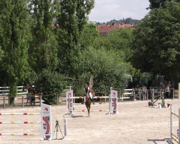 Reitturnier Würzburg/Ufr. 2024