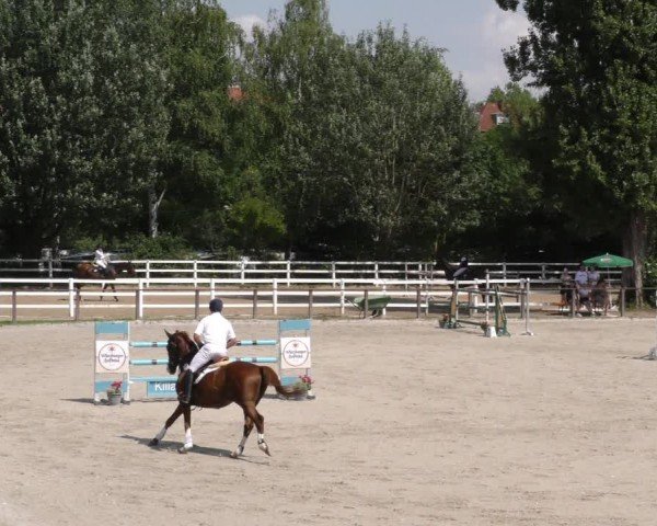 Reitturnier Würzburg/Ufr. 2024