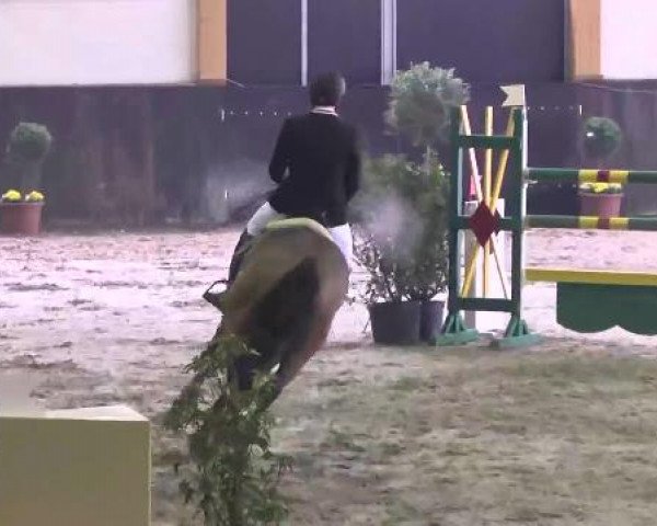 Nationales Hallenspringturnier Sauldorf- Boll 2013