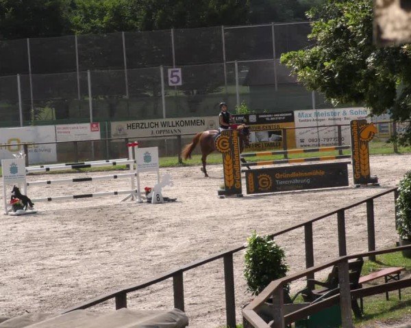 Reitturnier Würzburg/Ufr. 2024