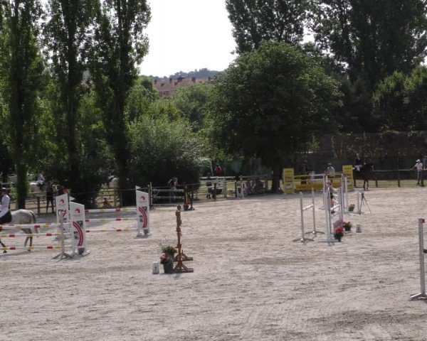 Reitturnier Würzburg/Ufr. 2024