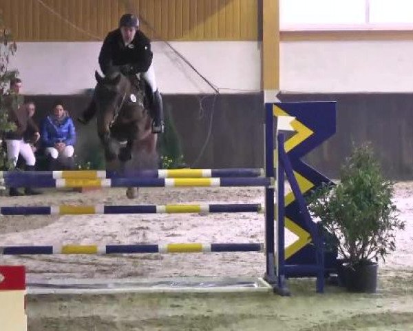 Nationales Hallenspringturnier Sauldorf- Boll 2013
