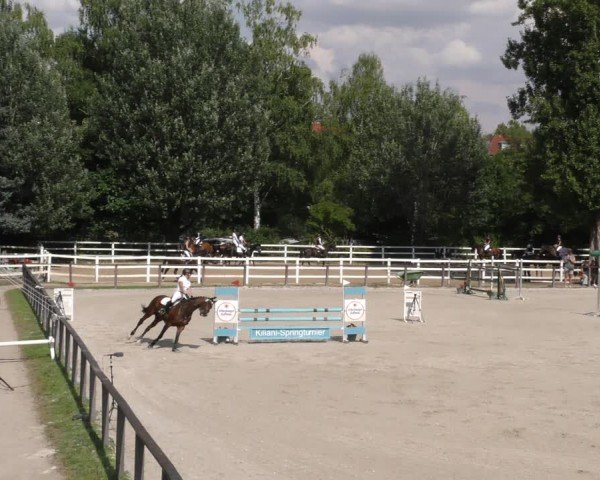 Reitturnier Würzburg/Ufr. 2024