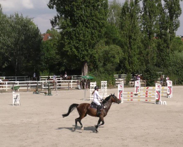 Reitturnier Würzburg/Ufr. 2024