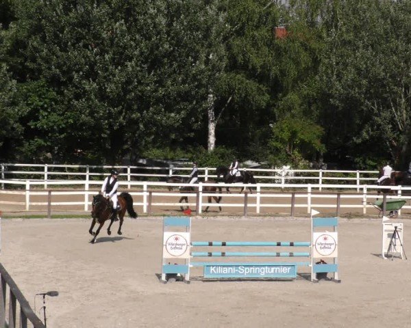 Reitturnier Würzburg/Ufr. 2024