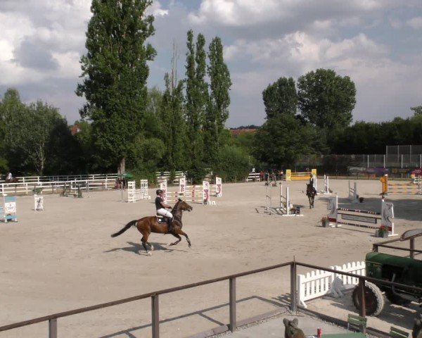Reitturnier Würzburg/Ufr. 2024