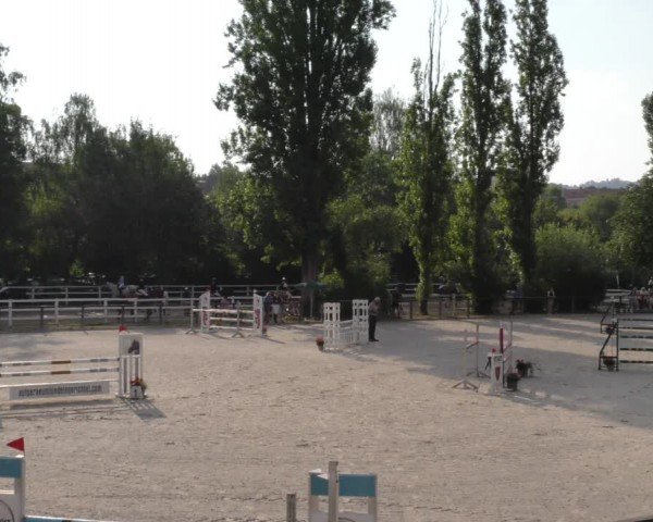 Reitturnier Würzburg/Ufr. 2024