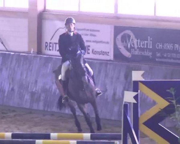 Nationales Hallenspringturnier Sauldorf- Boll 2013