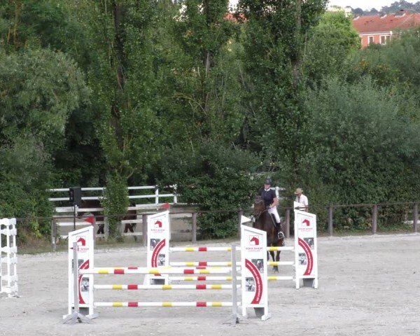 Reitturnier Würzburg/Ufr. 2024