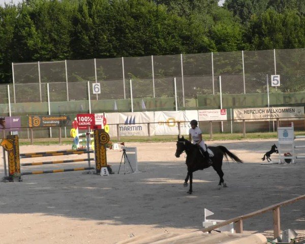 Reitturnier Würzburg/Ufr. 2024