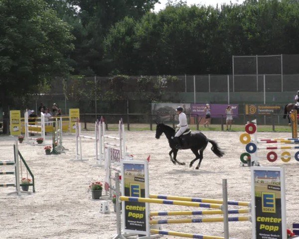 Reitturnier Würzburg/Ufr. 2024