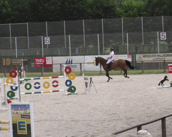 Reitturnier Würzburg/Ufr. 2024