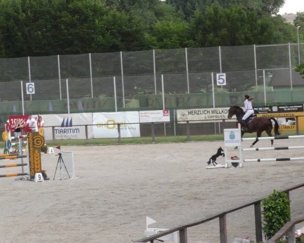 Reitturnier Würzburg/Ufr. 2024