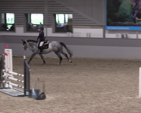 Reitturnier Luhmühlen 2021