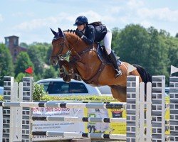 jumper Cabman (Hanoverian, 2018, from Comme le père)