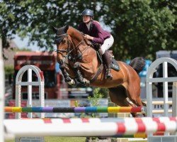 jumper Gucci´s Airplane W (Hanoverian, 2019, from Grey Top)