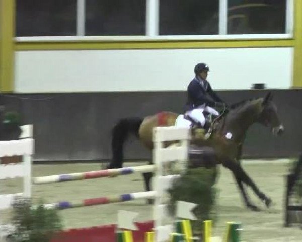 Nationales Hallenspringturnier Sauldorf- Boll 2013