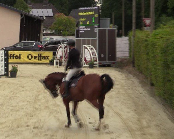 Reitturnier Olfen-Vinnum 2024
