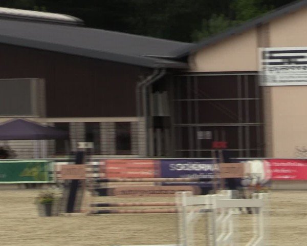 Reitturnier Olfen-Vinnum 2024