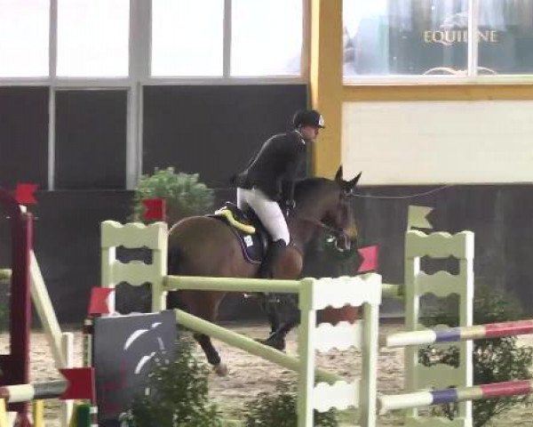 Nationales Hallenspringturnier Sauldorf- Boll 2013