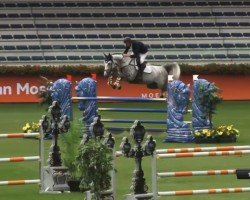 jumper Camina 35 (Zangersheide riding horse, 2017, from Cicero Z van Paemel)