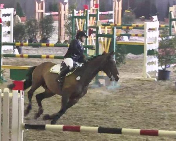 Nationales Hallenspringturnier Sauldorf- Boll 2013