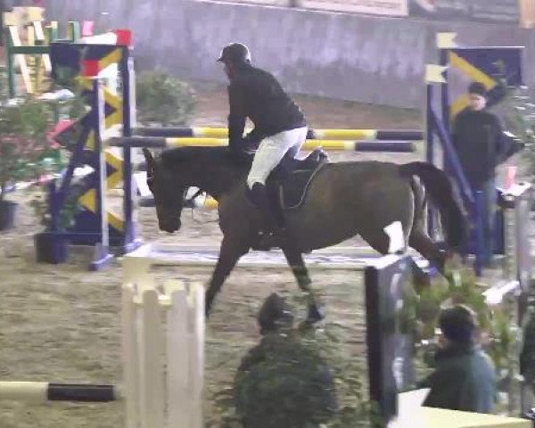 Nationales Hallenspringturnier Sauldorf- Boll 2013