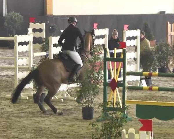 Nationales Hallenspringturnier Sauldorf- Boll 2013