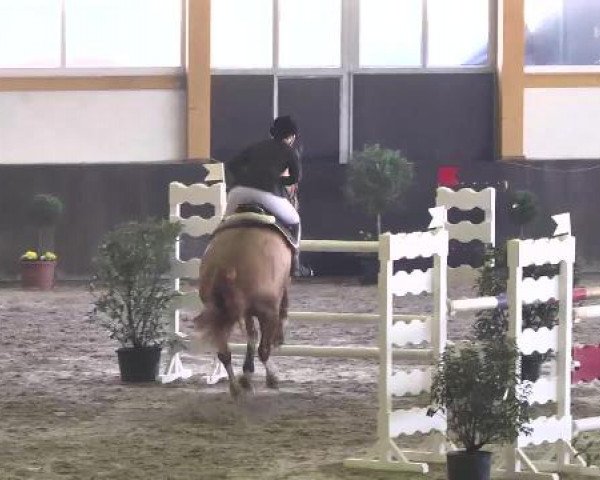 Nationales Hallenspringturnier Sauldorf- Boll 2013