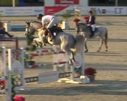 jumper Claire de Lune 33 (Holsteiner, 2015, from Clarimo Ask)