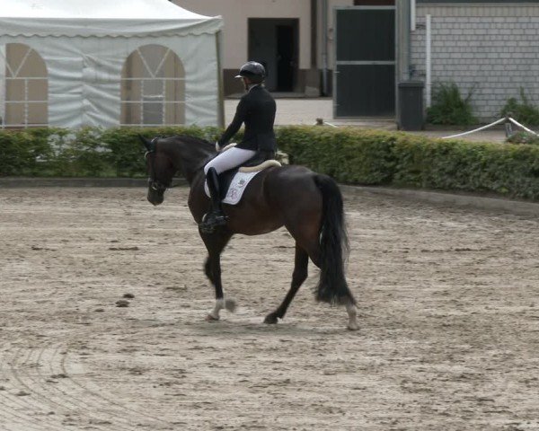 Reitturnier Olfen-Vinnum 2024