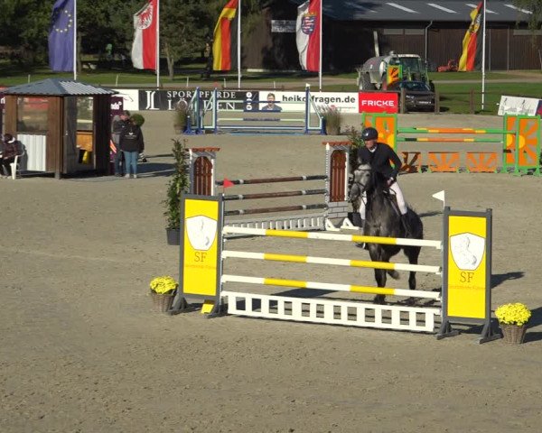 Reitturnier Westergellersen 2021