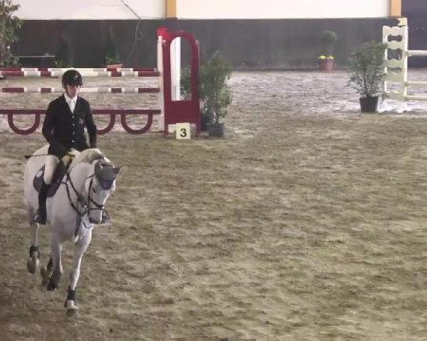 Nationales Hallenspringturnier Sauldorf- Boll 2013