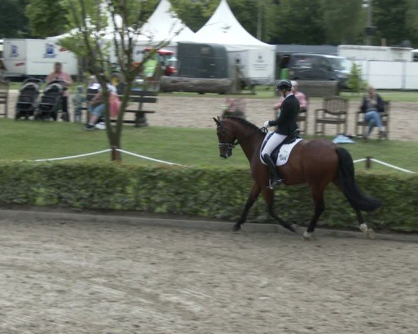 Reitturnier Olfen-Vinnum 2024