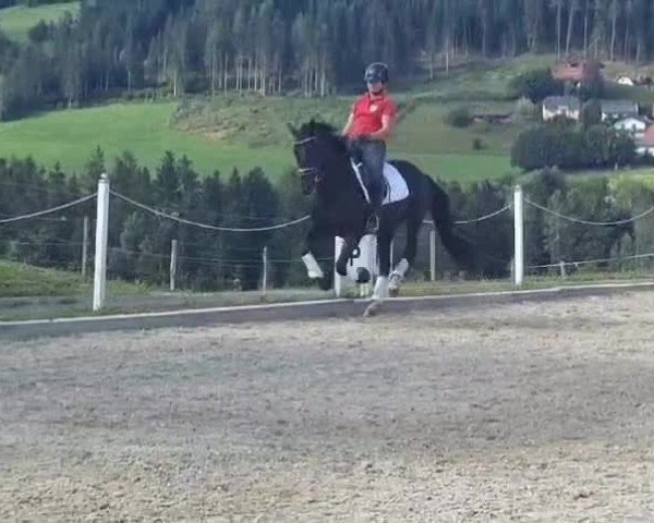Video of Draxls Laila Deluxe BB