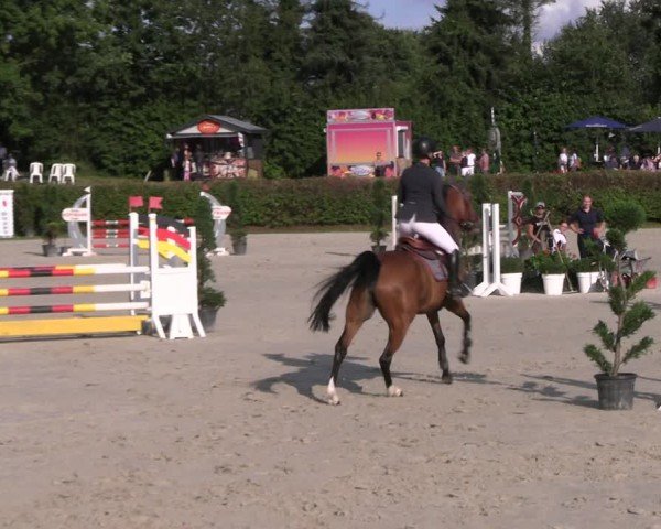 Reitturnier Vlotho-Exter 2024
