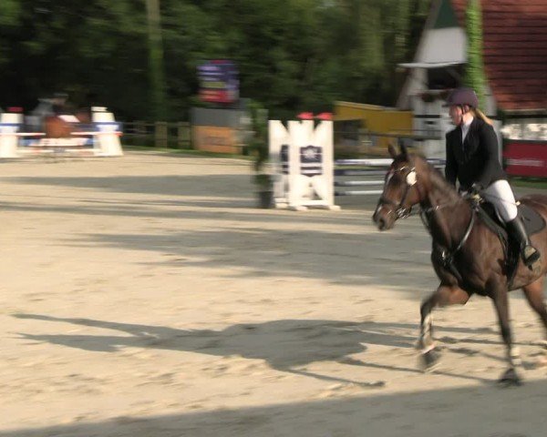 Reitturnier Vlotho-Exter 2024