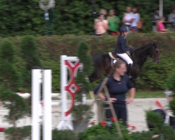 Reitturnier Vlotho-Exter 2024