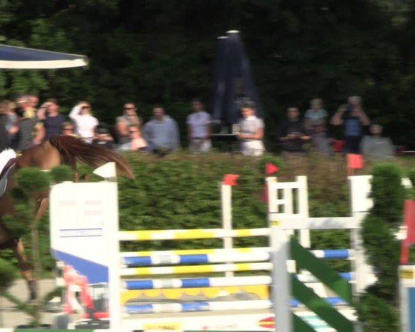Reitturnier Vlotho-Exter 2024