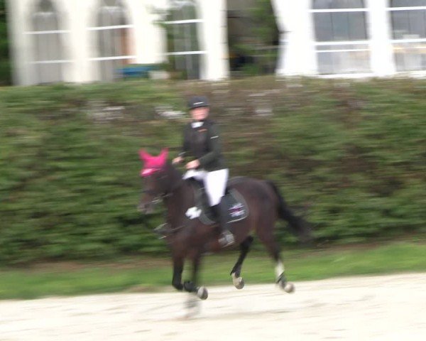 Reitturnier Vlotho-Exter 2024