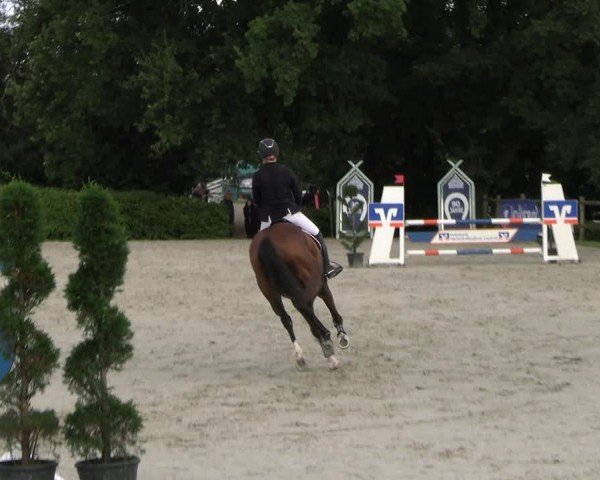 Reitturnier Vlotho-Exter 2024